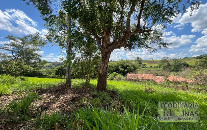 Terreno de 4.000 m² com Nascente a venda em Cambui MG COD2323 (9)