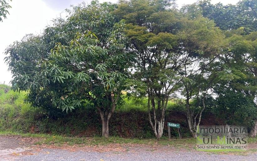 Chácara de 5000m ² com barracão e moradia as margens da Fernão DiasCOD2324 (19)