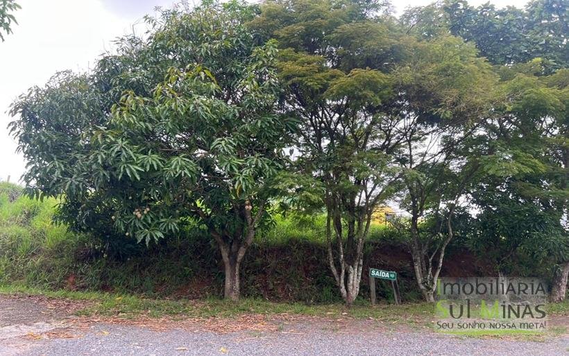 Chácara de 5000m ² com barracão e moradia as margens da Fernão DiasCOD2324 (24)