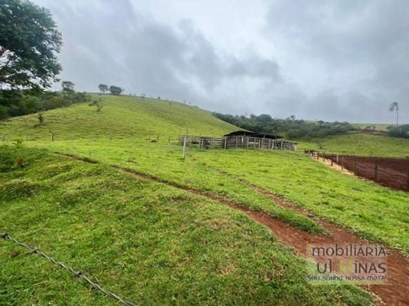 Sítio de 67600m ² com Terraplanagem a 800m da Fernão Dias À Venda em Cambuí MG COD2334 (3)
