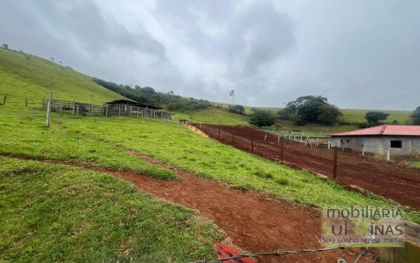 Sítio de 67600m ² com Terraplanagem a 800m da Fernão Dias À Venda em Cambuí MG COD2334 (4)