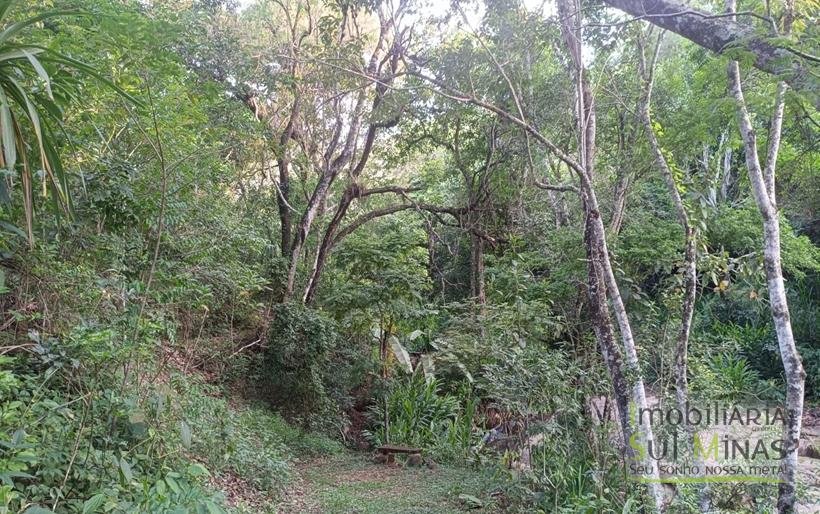 Sítio na Estrada de Monte Verde – A 4 km do Centro de Camanducaia À Venda COD2332 (16)
