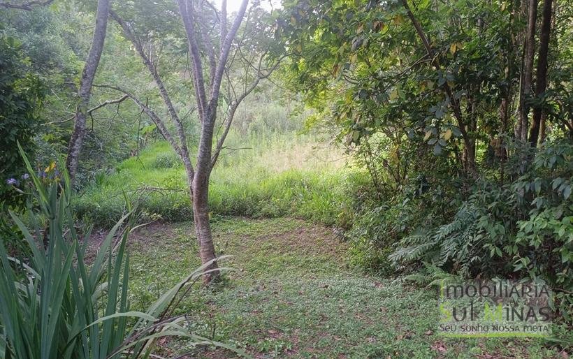 Sítio na Estrada de Monte Verde – A 4 km do Centro de Camanducaia À Venda COD2332 (18)