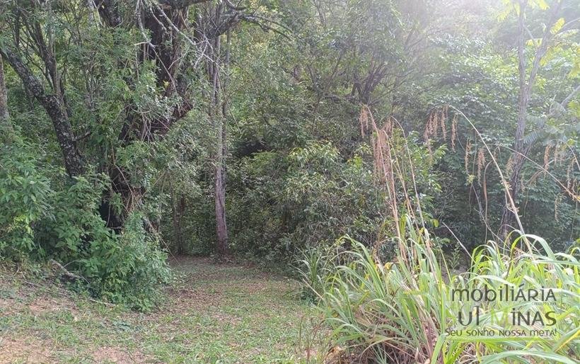 Sítio na Estrada de Monte Verde – A 4 km do Centro de Camanducaia À Venda COD2332 (20)