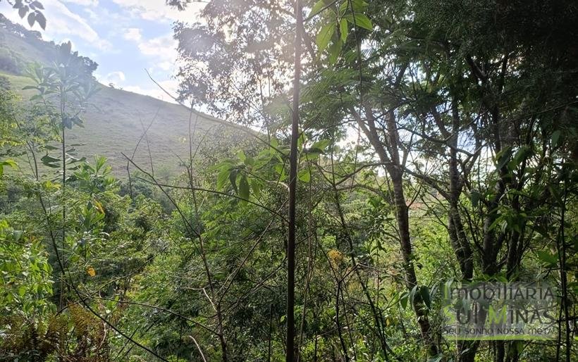 Sítio na Estrada de Monte Verde – A 4 km do Centro de Camanducaia À Venda COD2332 (3)