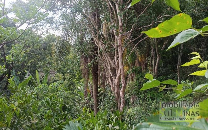 Sítio na Estrada de Monte Verde – A 4 km do Centro de Camanducaia À Venda COD2332 (33)