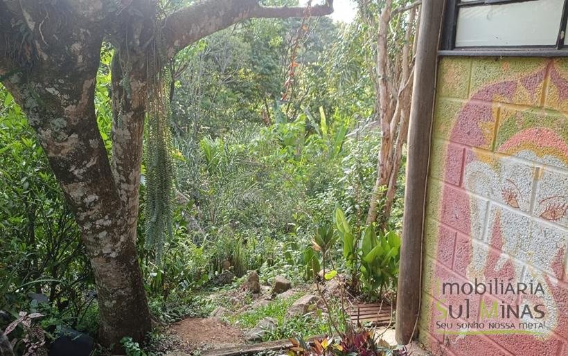 Sítio na Estrada de Monte Verde – A 4 km do Centro de Camanducaia À Venda COD2332 (37)