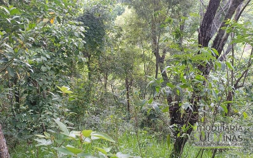 Sítio na Estrada de Monte Verde – A 4 km do Centro de Camanducaia À Venda COD2332 (4)