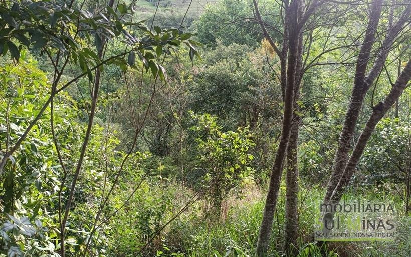Sítio na Estrada de Monte Verde – A 4 km do Centro de Camanducaia À Venda COD2332 (6)