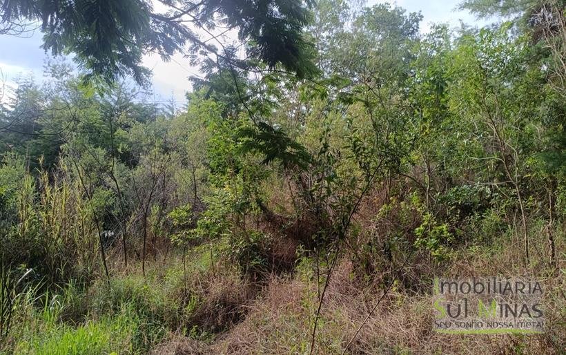 Sítio na Estrada de Monte Verde – A 4 km do Centro de Camanducaia À Venda COD2332 (7)