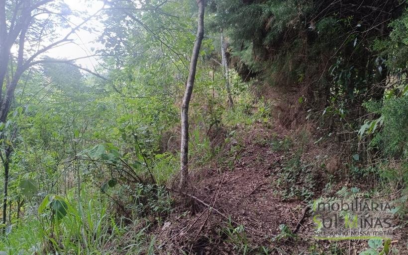 Sítio na Estrada de Monte Verde – A 4 km do Centro de Camanducaia À Venda COD2332 (8)