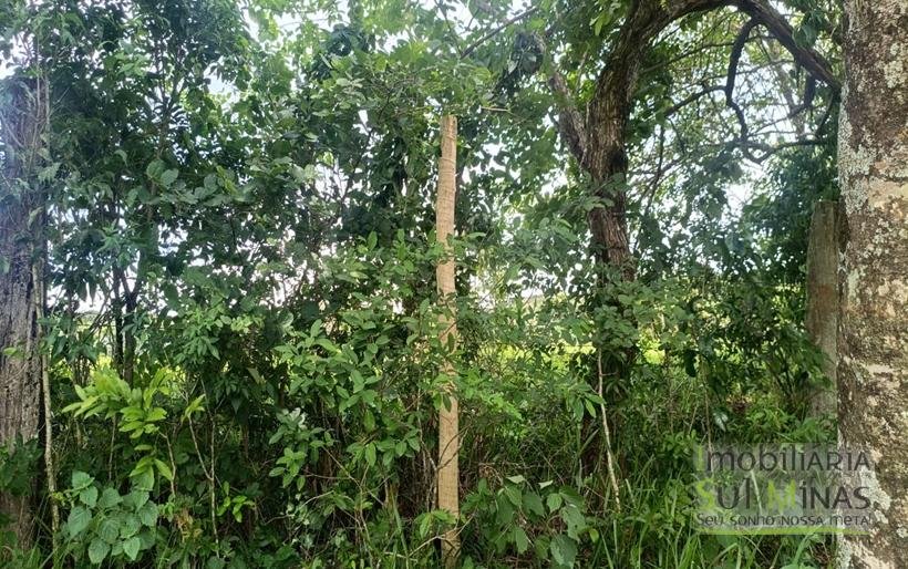 Terreno Rural Com Riacho na Divisa À Venda em Cambuí MG COD2333 (1)