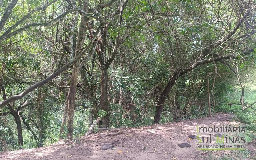 Terreno Rural Com Riacho na Divisa À Venda em Cambuí MG COD2333 (10)