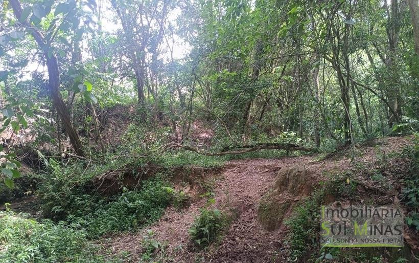 Terreno Rural Com Riacho na Divisa À Venda em Cambuí MG COD2333 (11)