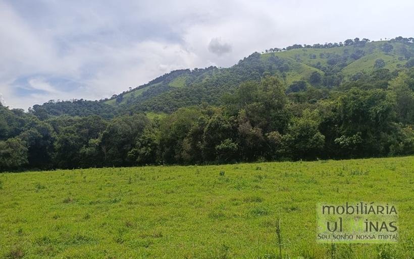 Terreno Rural Com Riacho na Divisa À Venda em Cambuí MG COD2333 (12)