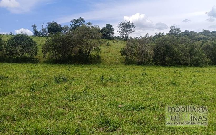 Terreno Rural Com Riacho na Divisa À Venda em Cambuí MG COD2333 (13)