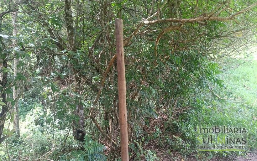 Terreno Rural Com Riacho na Divisa À Venda em Cambuí MG COD2333 (15)