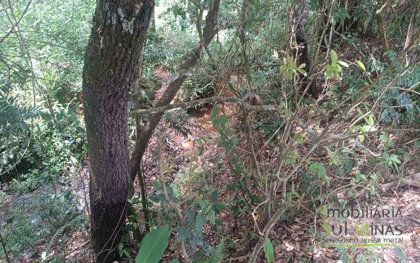 Terreno Rural Com Riacho na Divisa À Venda em Cambuí MG COD2333 (16)