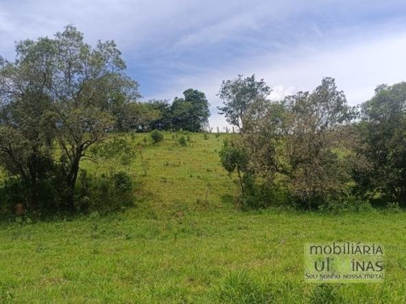 Terreno Rural Com Riacho na Divisa À Venda em Cambuí MG COD2333 (17)