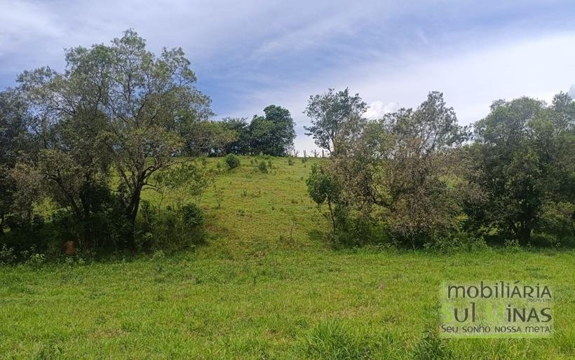Terreno Rural Com Riacho na Divisa À Venda em Cambuí MG COD2333 (17)
