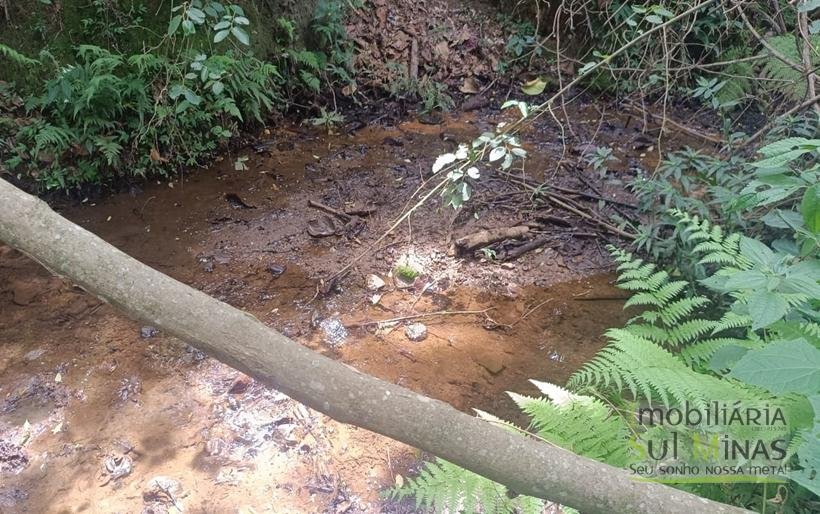 Terreno Rural Com Riacho na Divisa À Venda em Cambuí MG COD2333 (4)