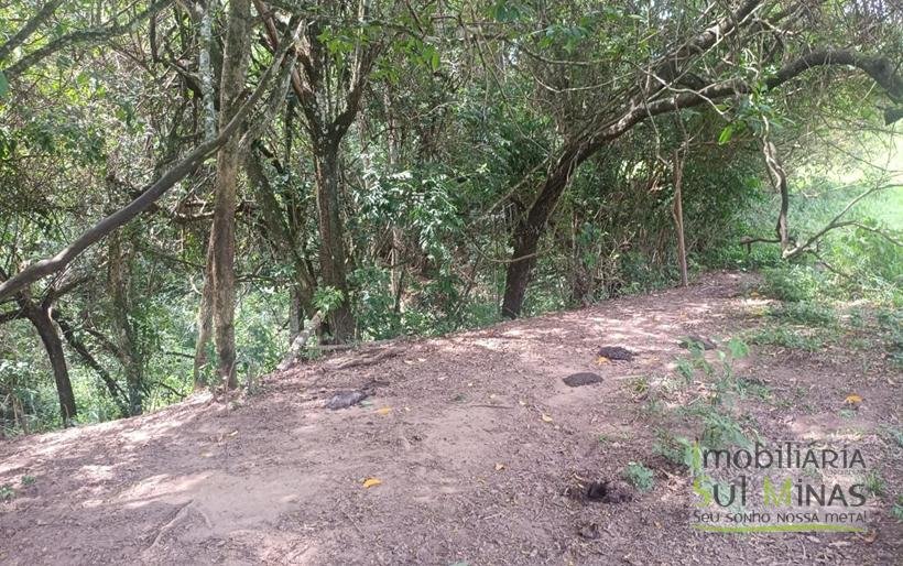 Terreno Rural Com Riacho na Divisa À Venda em Cambuí MG COD2333 (6)