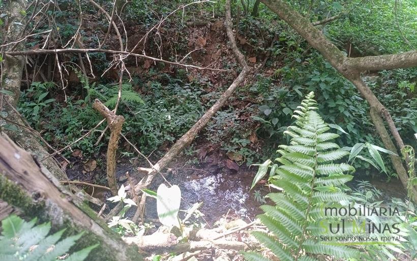 Terreno Rural Com Riacho na Divisa À Venda em Cambuí MG COD2333 (7)