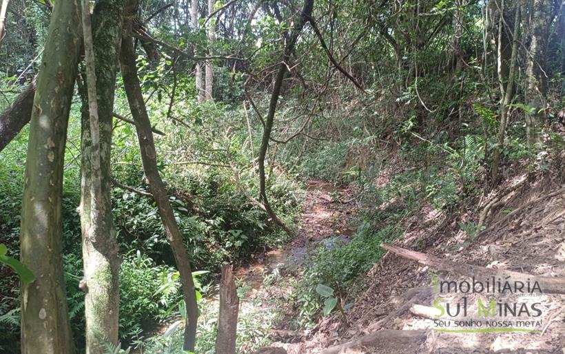 Terreno Rural Com Riacho na Divisa À Venda em Cambuí MG COD2333 (8)