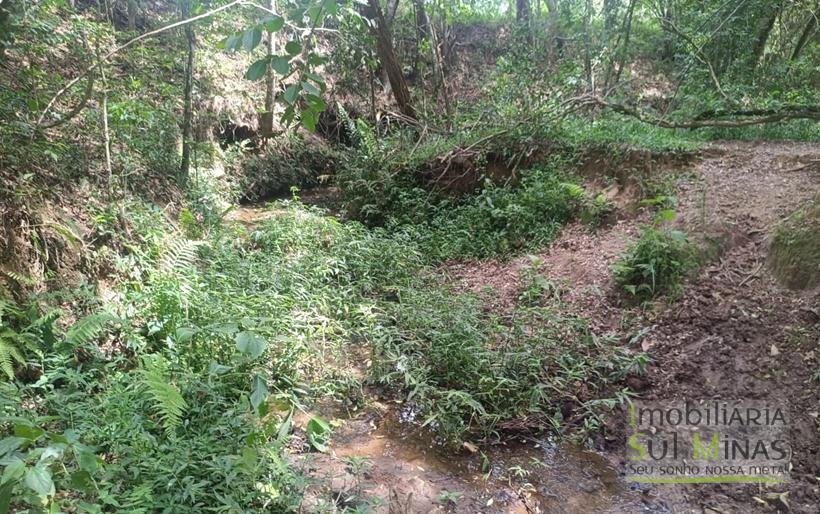 Terreno Rural Com Riacho na Divisa À Venda em Cambuí MG COD2333 (9)