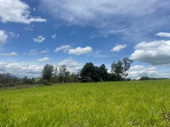 Terreno de 1.000 m² Com Linda Vista à Venda em Cambuí MG COD2338 (1)