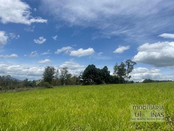 Terreno de 1.000 m² Com Linda Vista à Venda em Cambuí MG COD2338 (1)