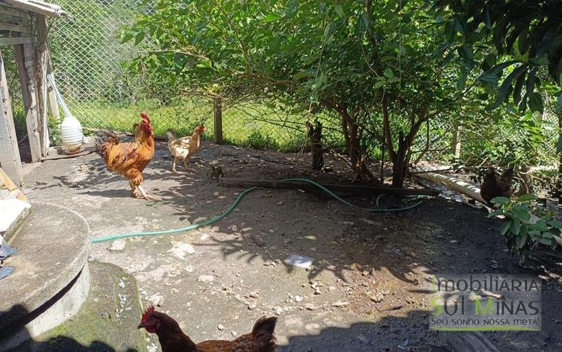 Chácara Com 722m² À Venda em Córrego do Bom Jesus – MG COD2368 (25)