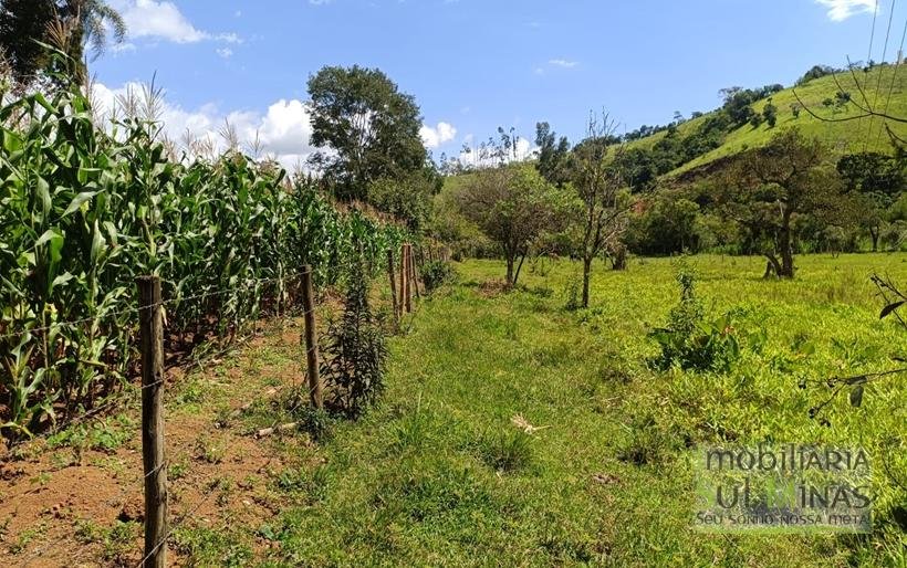 Chácara à Venda em Cambuí – MG a 3,7km do Centro Excelente Oportunidade COD2369 (1)