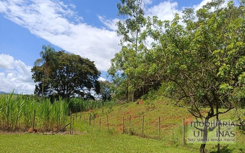Chácara à Venda em Cambuí – MG a 3,7km do Centro Excelente Oportunidade COD2369 (18)
