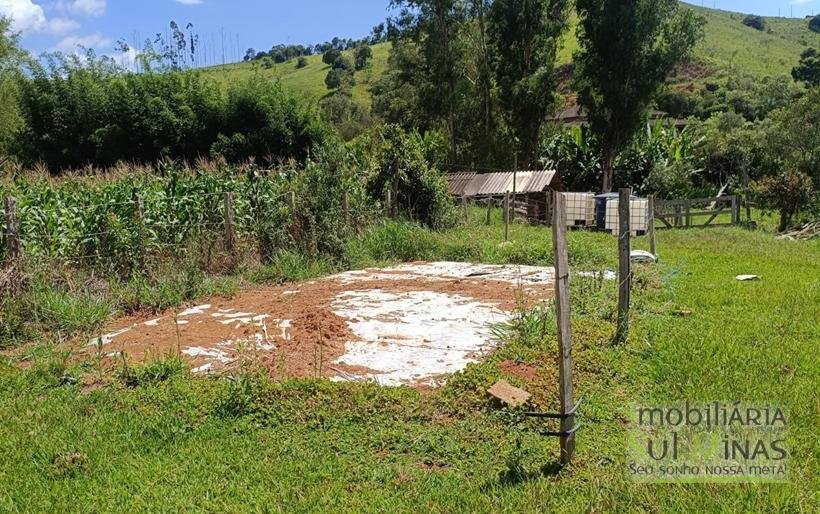 Chácara à Venda em Cambuí – MG a 3,7km do Centro Excelente Oportunidade COD2369 (23)