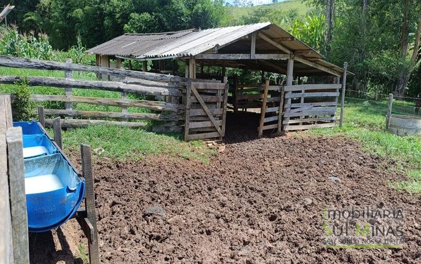 Chácara à Venda em Cambuí – MG a 3,7km do Centro Excelente Oportunidade COD2369 (24)