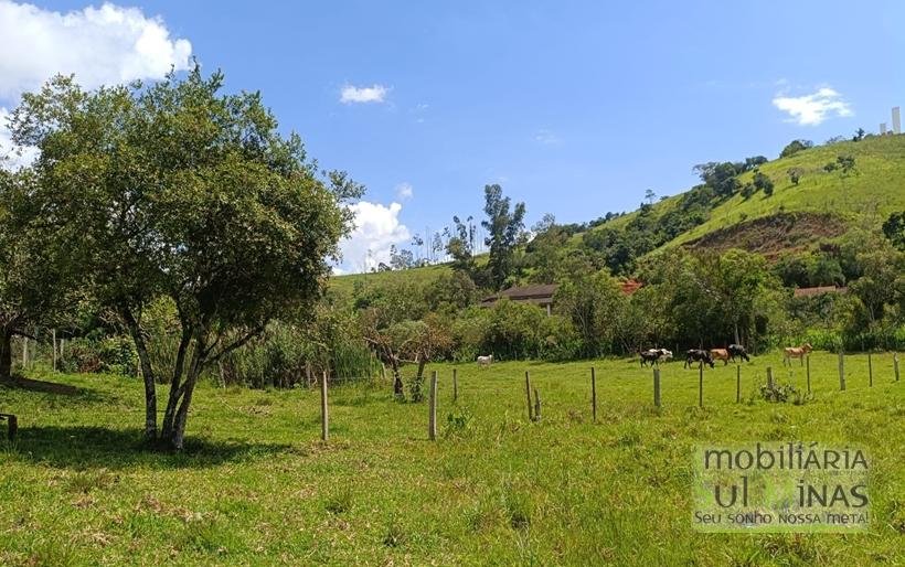 Chácara à Venda em Cambuí – MG a 3,7km do Centro Excelente Oportunidade COD2369 (29)