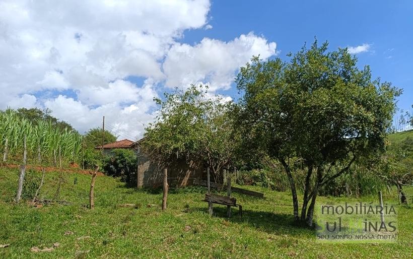 Chácara à Venda em Cambuí – MG a 3,7km do Centro Excelente Oportunidade COD2369 (30)