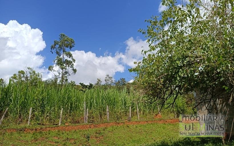 Chácara à Venda em Cambuí – MG a 3,7km do Centro Excelente Oportunidade COD2369 (31)