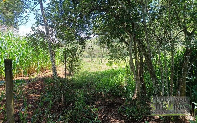 Chácara à Venda em Cambuí – MG a 3,7km do Centro Excelente Oportunidade COD2369 (4)