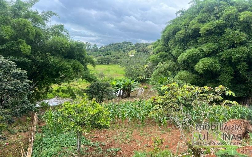 Chácara de 2000m ² com lago de peixe a venda em Cambui MG (10)