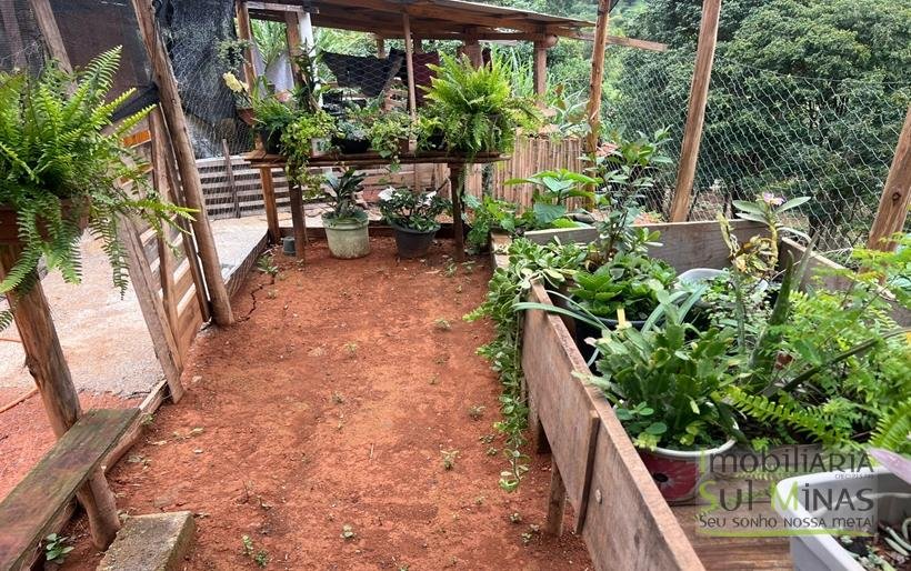 Chácara de 2000m ² com lago de peixe a venda em Cambui MG (11)