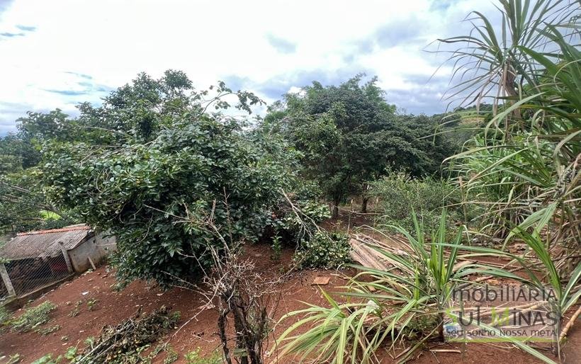 Chácara de 2000m ² com lago de peixe a venda em Cambui MG (27)