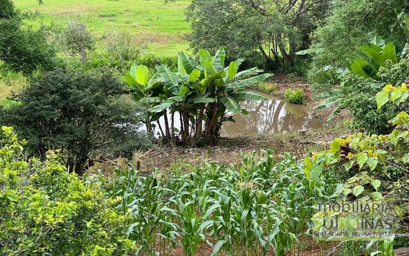 Chácara de 2000m ² com lago de peixe a venda em Cambui MG (28)