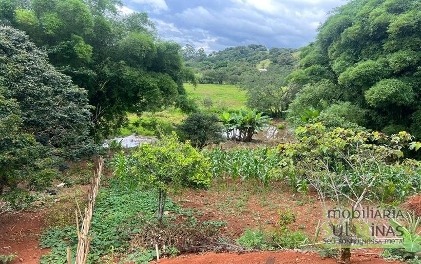 Chácara de 2000m ² com lago de peixe a venda em Cambui MG (29)