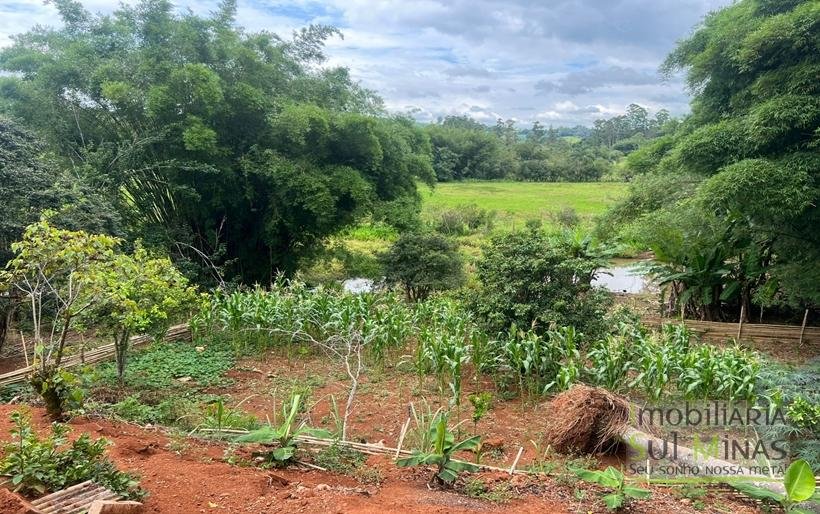 Chácara de 2000m ² com lago de peixe a venda em Cambui MG (6)