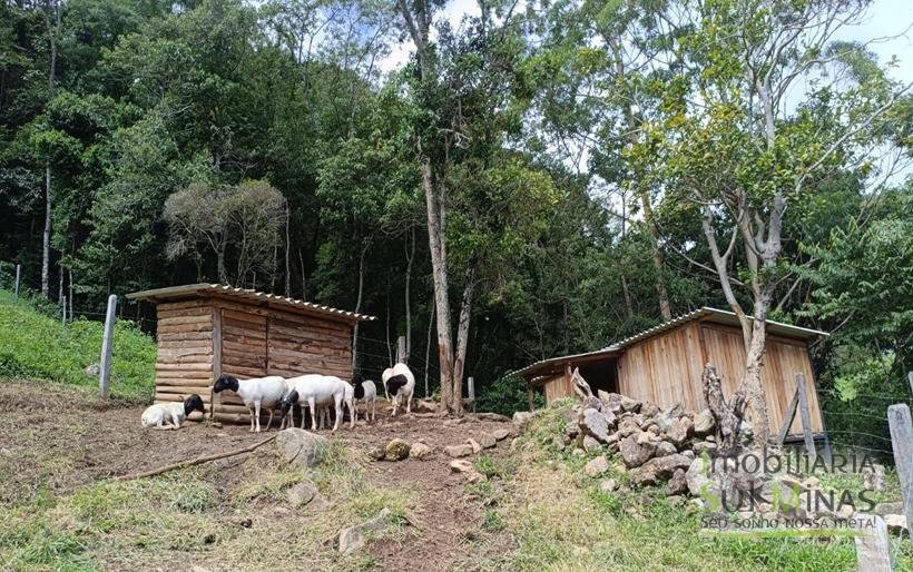 Sítio à Venda Em CamanducaiaMG 1 ALQUEIRE EXCELENTE OPORTUNIDADE COD2367 (30)