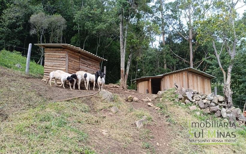 Sítio à Venda Em CamanducaiaMG 1 ALQUEIRE EXCELENTE OPORTUNIDADE COD2367 (33)