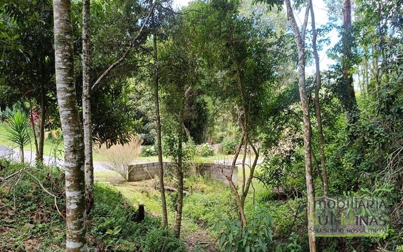 Sítio à Venda Em CamanducaiaMG 1 ALQUEIRE EXCELENTE OPORTUNIDADE COD2367 (41)