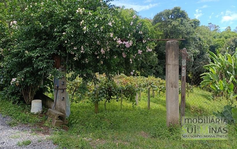 Sítio à Venda Em CamanducaiaMG 1 ALQUEIRE EXCELENTE OPORTUNIDADE COD2367 (54)